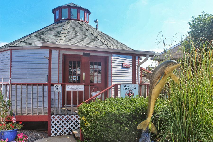 Sea Life Museum and dolphin statue