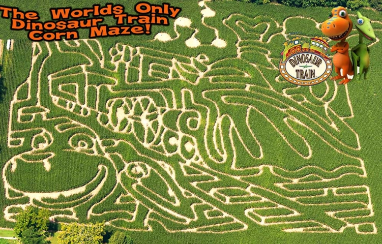 aerial view of the corn maze