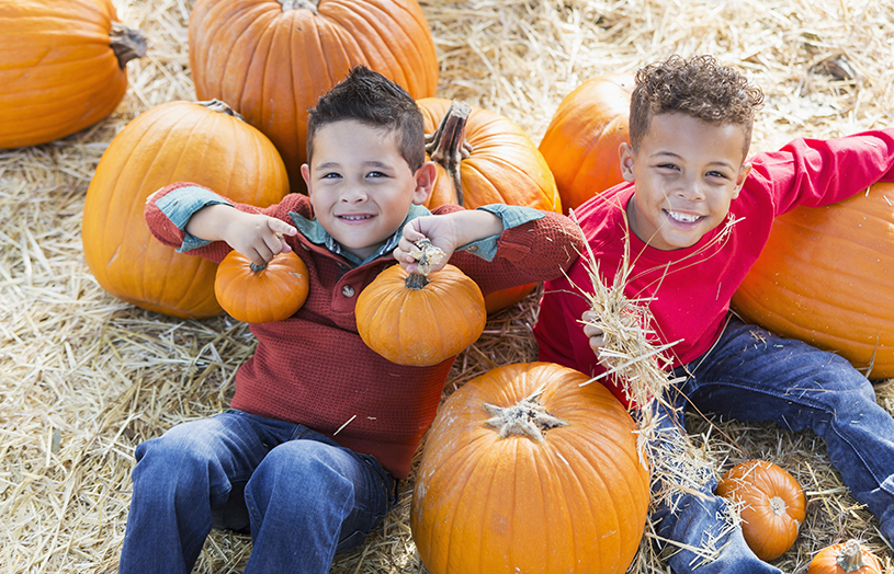 Your Official Guide To New Jersey Fall Festivals | VisitNJ.org