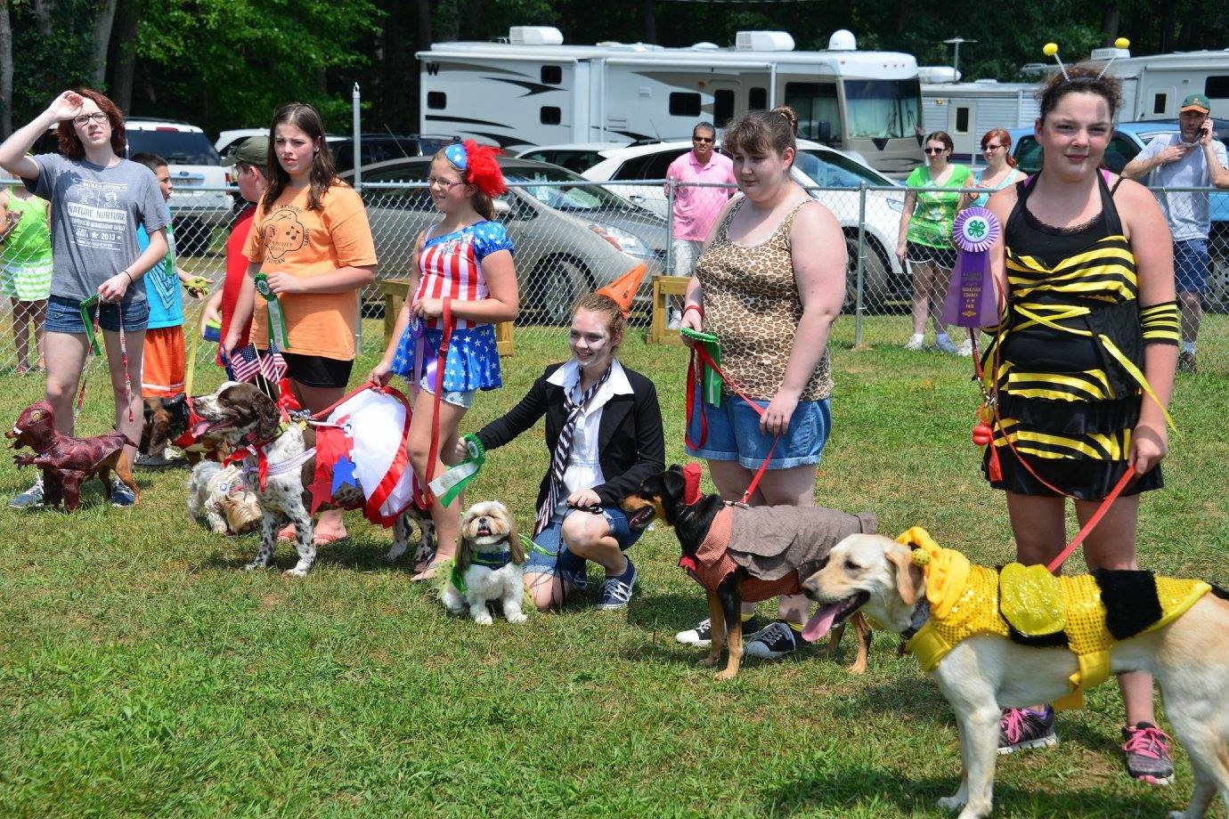 Dog shows and demonstrations