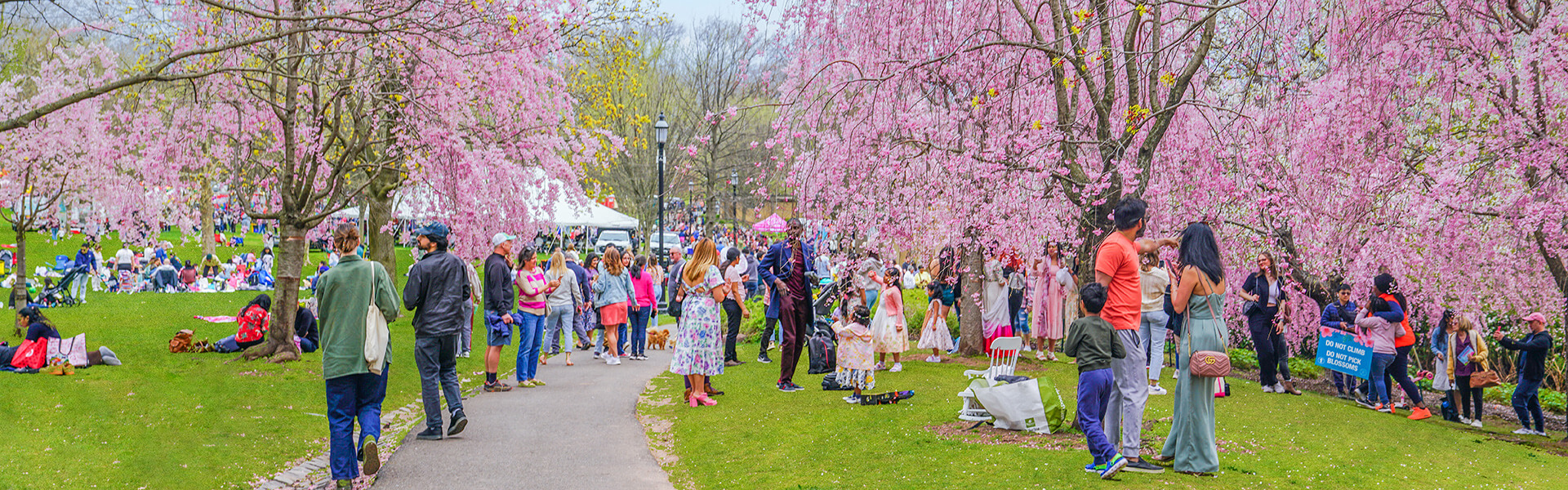 Spring In New Jersey | VisitNJ.org