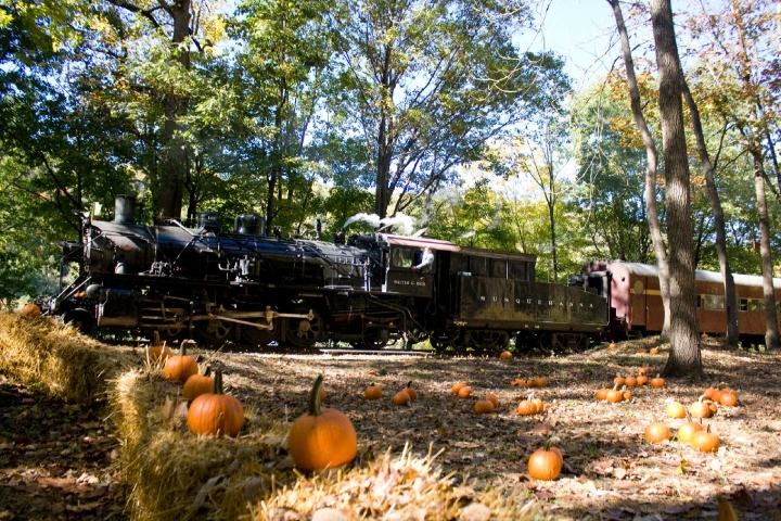 Train arriving at pumpkin patch