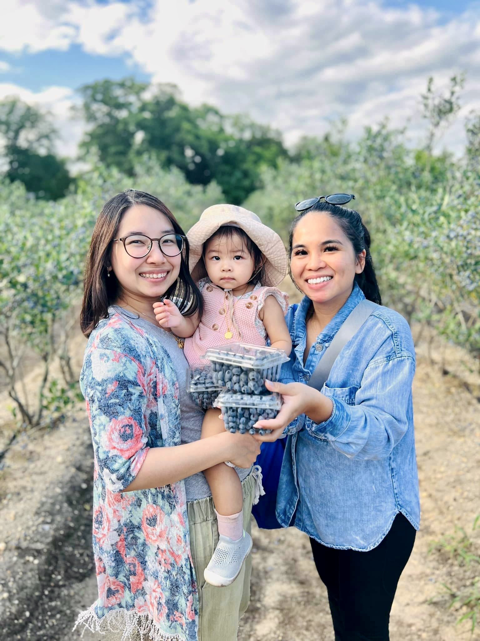 Blueberry Picking at DiMeo Farms in Hammonton, NJ