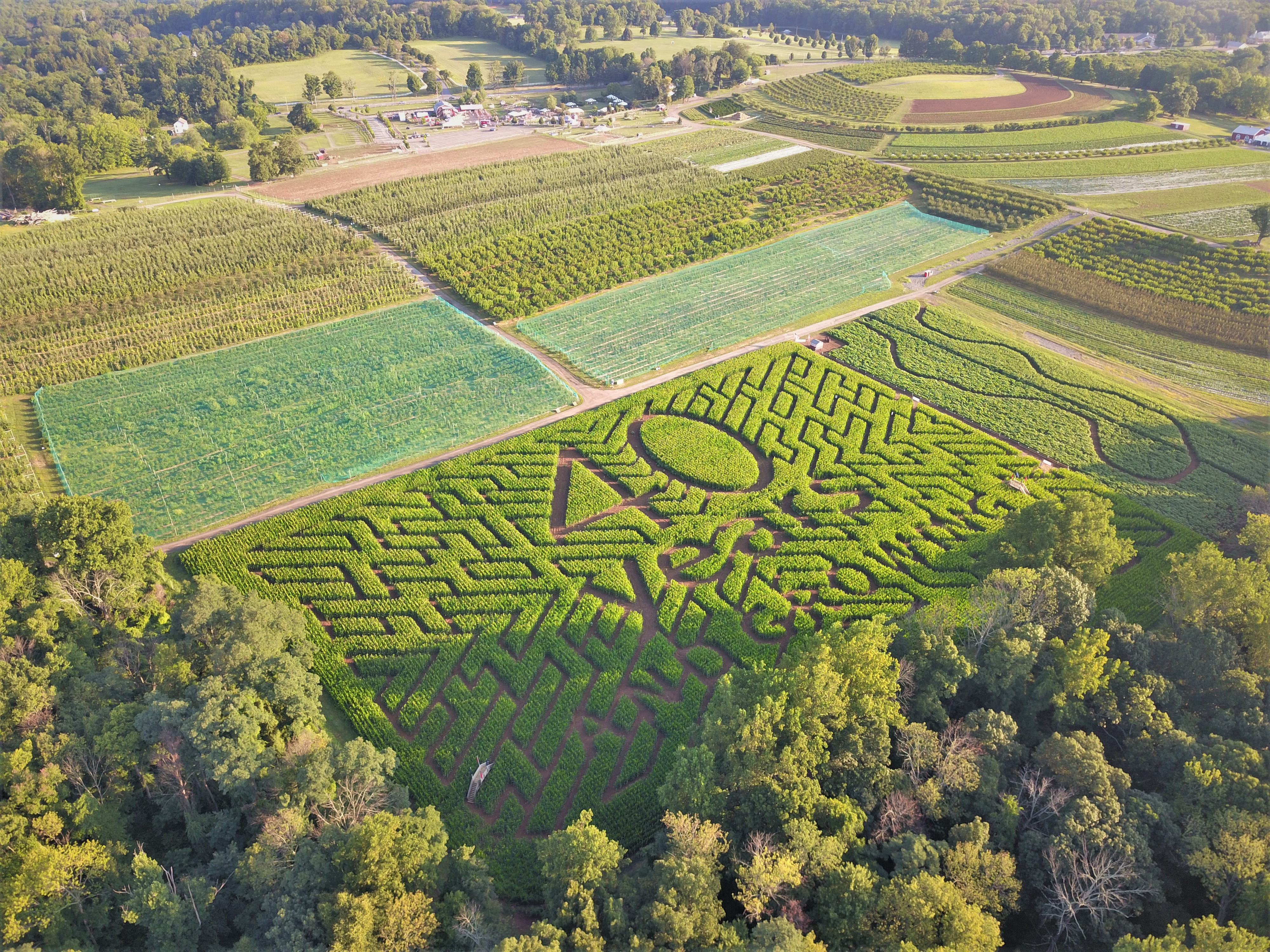 Aerial View of Farm