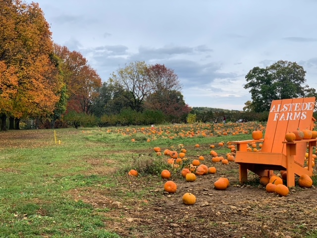 Fall Pumpkin Picking