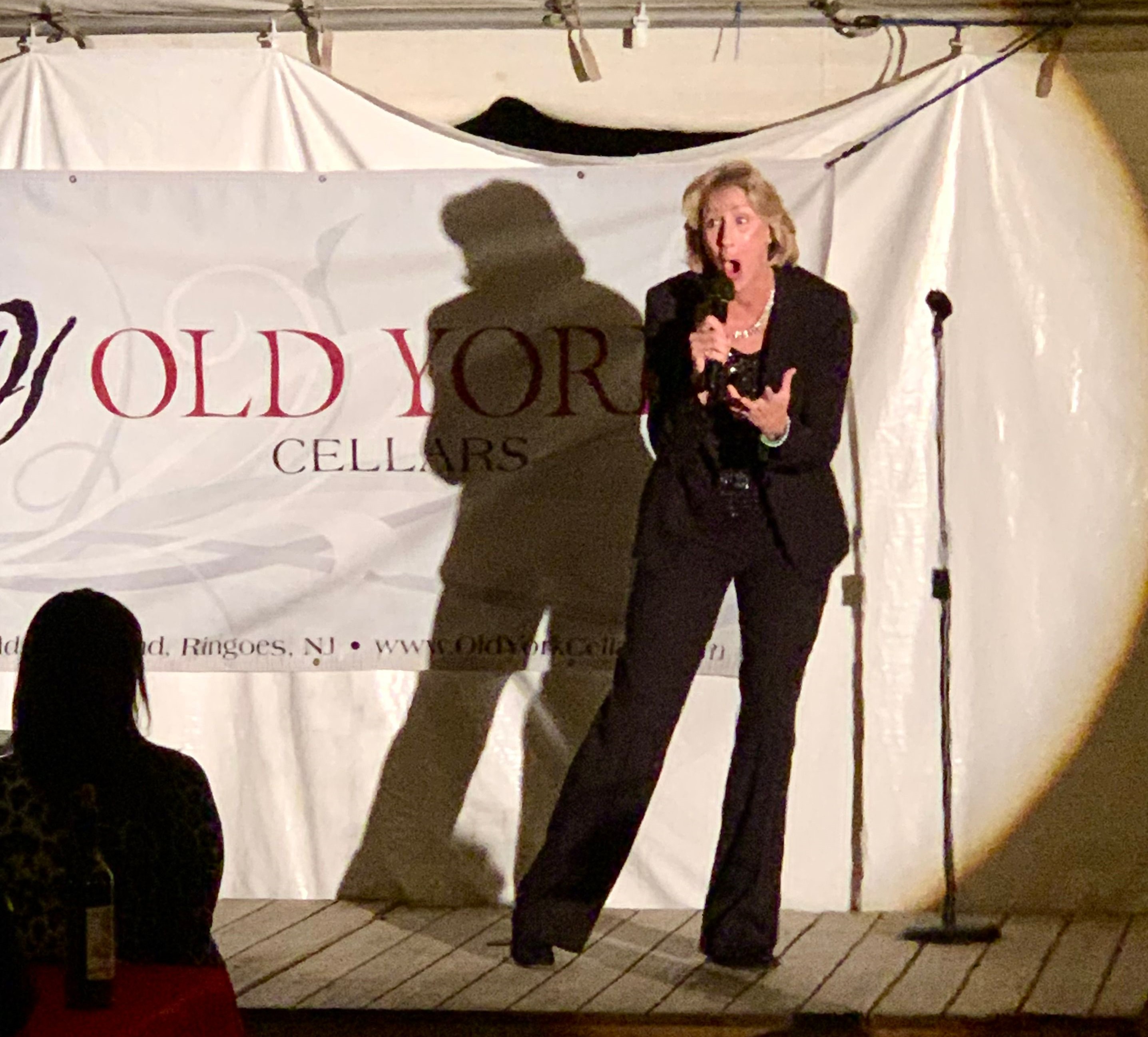 Comedian, Helene Angley performing at Old York Cellars Winery