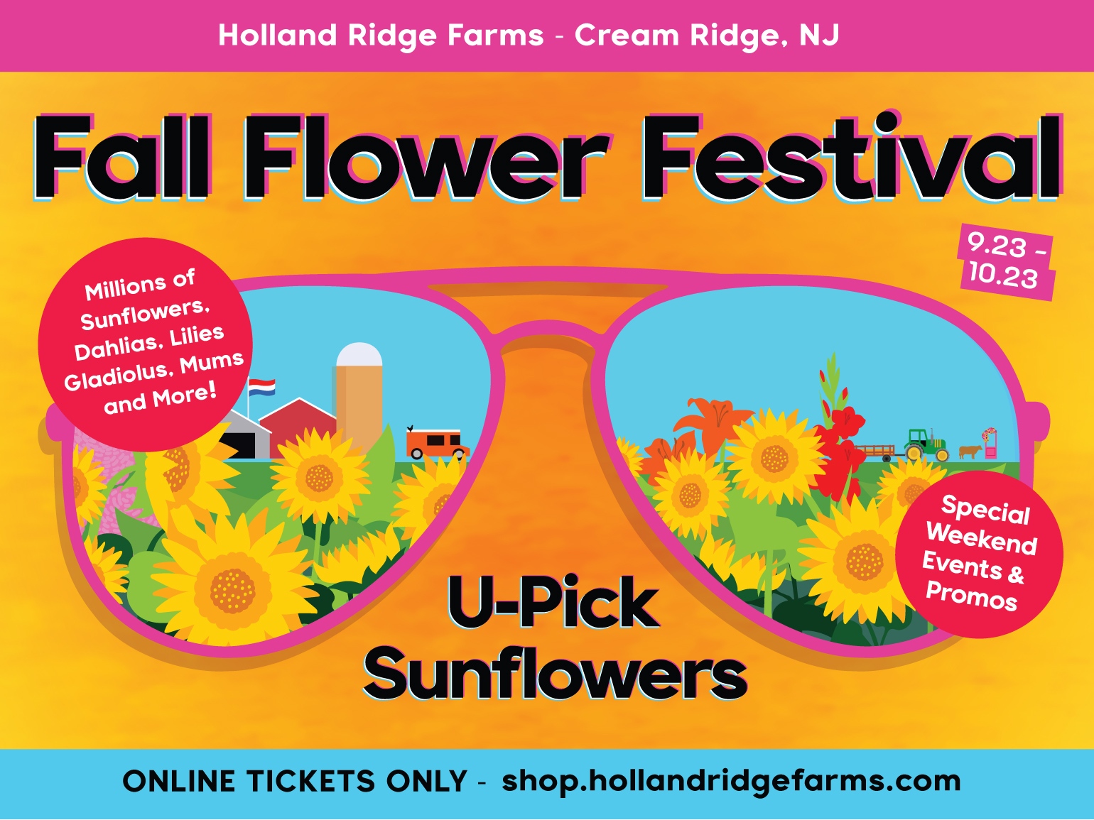 Holland Ridge Farms Fall Flower Festival - U-Pick Sunflowers