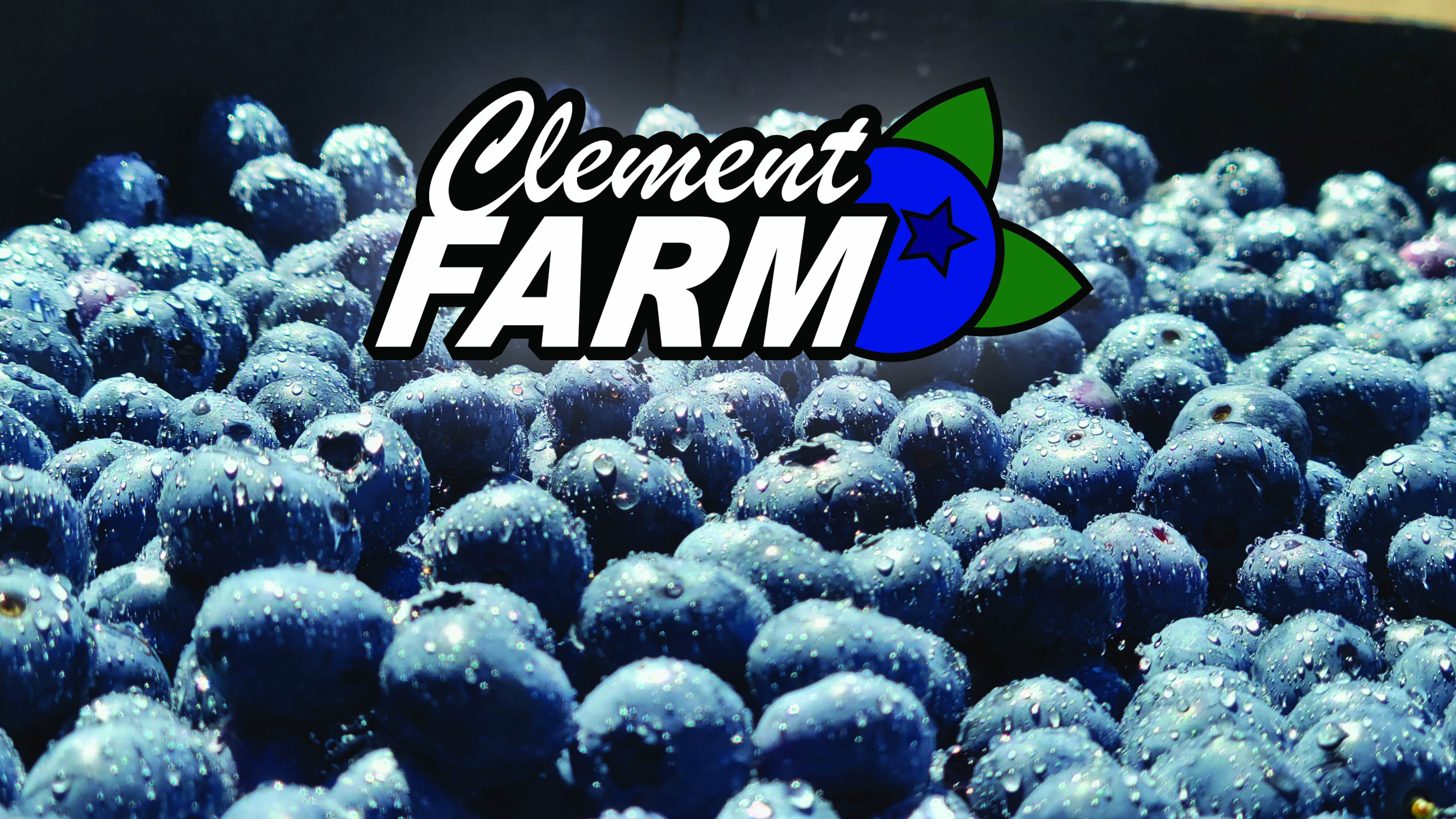 Clement Blueberry Farm