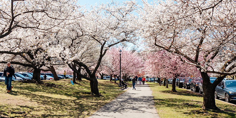 Spring In Nj Spring Weekend Getaways in North Jersey | VisitNJ.org