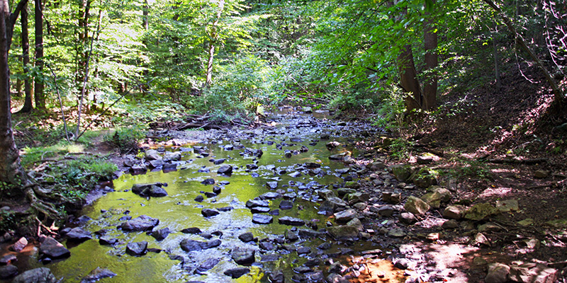 A creek of water filled with flattened stones at the Hacklebarney State Park, home to one of the many waterfalls in New Jersey.