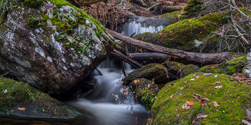 A stream flowing through moss-covered rocks in Tillman’s Ravine, located within Stokes State Forest in Northwestern, New Jersey.