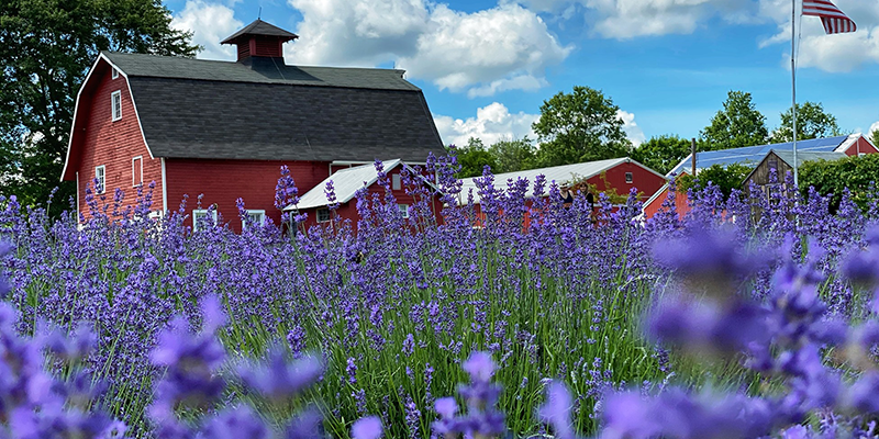 Central Jersey Spring Weekend Getaways | VisitNJ.org