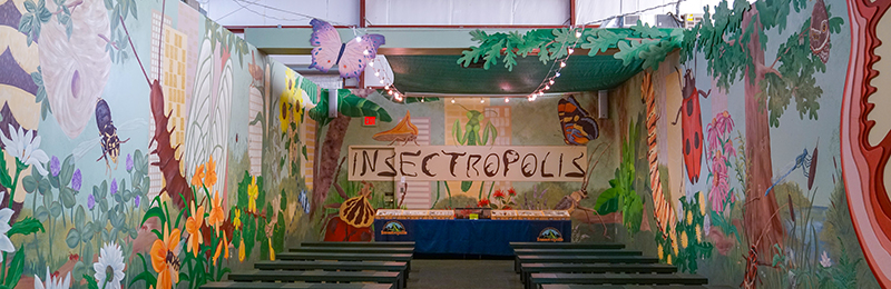 Off the Beaten Path: Small Towns in New Jersey to Explore | VisitNJ.org