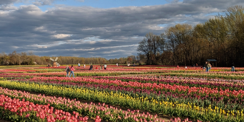 Fun Spring Getaways Across Southern NJ | VisitNJ.org