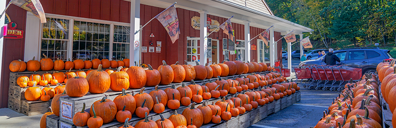 Battleview Pumpkins