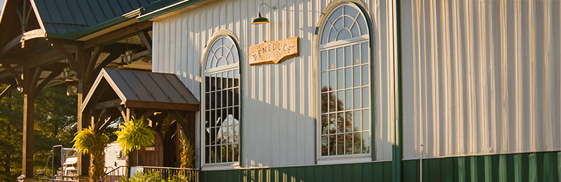 Beneduce Vineyards_Fall_Stills