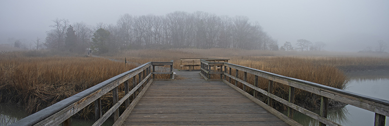 Cheesequake State Park