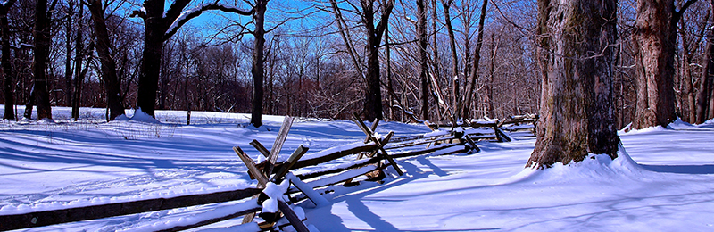 Jockey Hollow