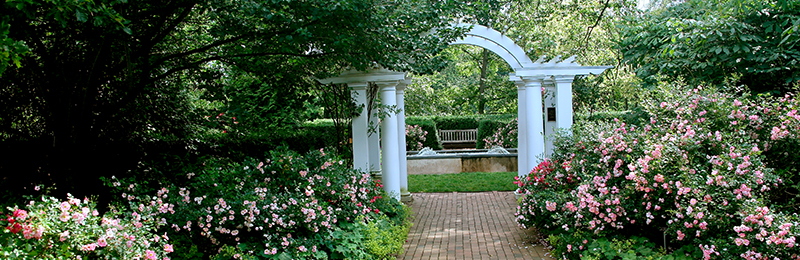 Frelinghuysen Arboretum