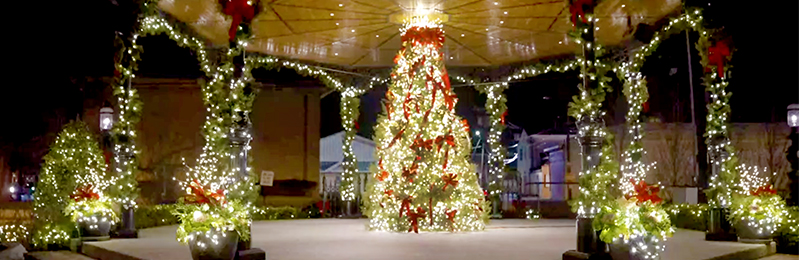 Cape May Tree Lighting