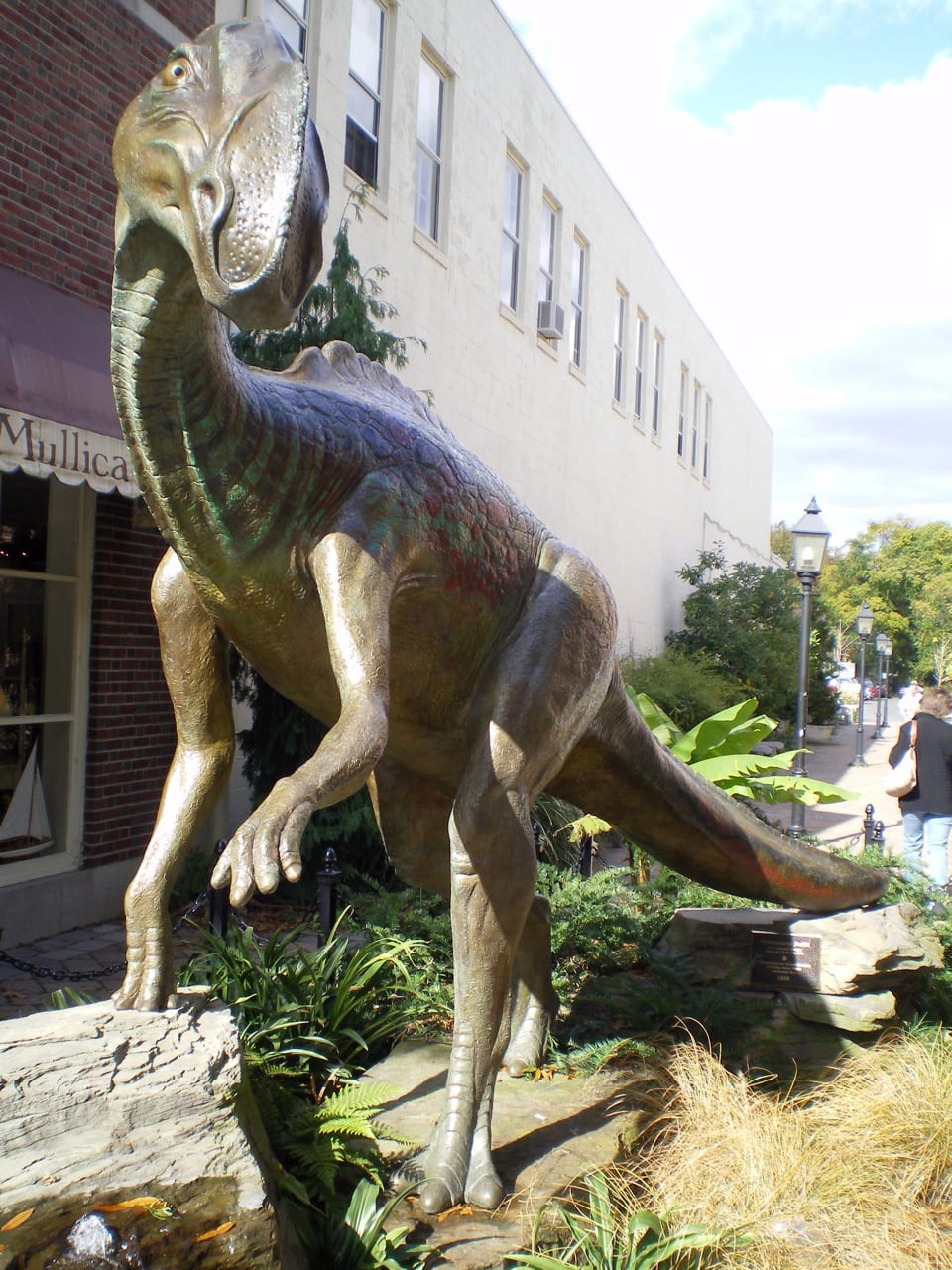 This is a photo of sculpture in Haddinfield, NJ named "Haddy" Haddonfield, NJ is where the first dinosaur bones were discovered! The dinosaur was called "Hadrosaurus Foulki" and affectionatly renamed "Haddy". Haddonfield, NJ is where the first dinosaur bones were discovered! 