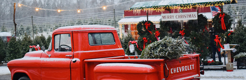 Hidden Pond Christmas Tree Farm