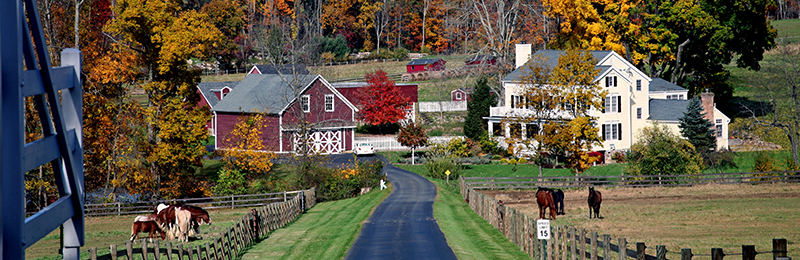 New Jersey Farm