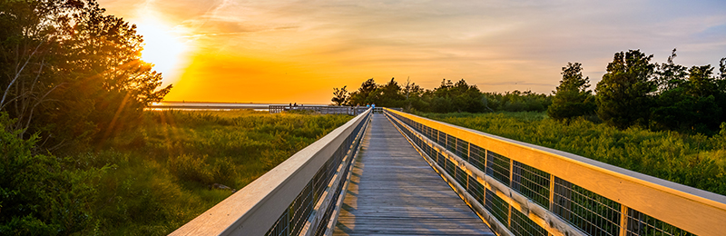 Sandy Hook