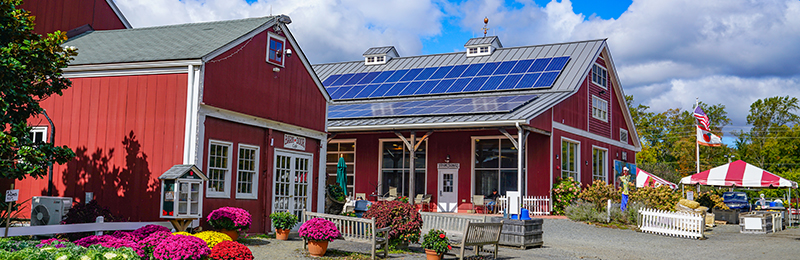 Terhune Orchards