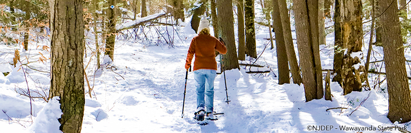 Wawayanda Snow Shoeing