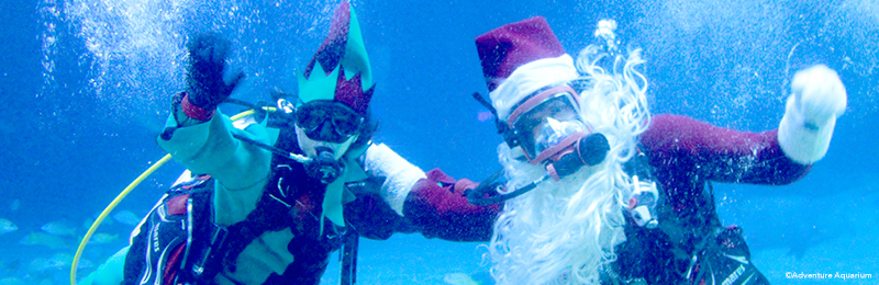  Christmas Underwater