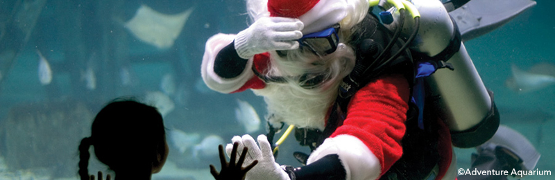 Scuba Santa