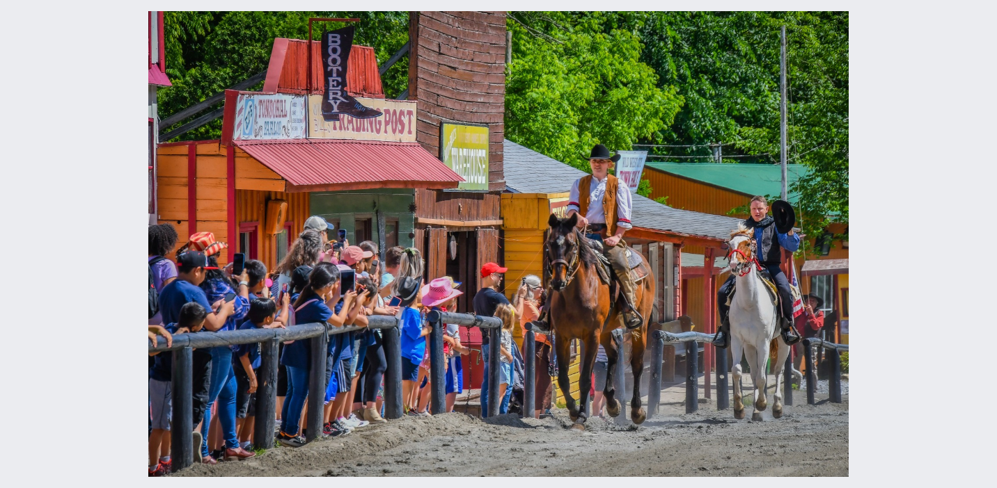 A picture of our guests viewing the horses during one of our many performances!