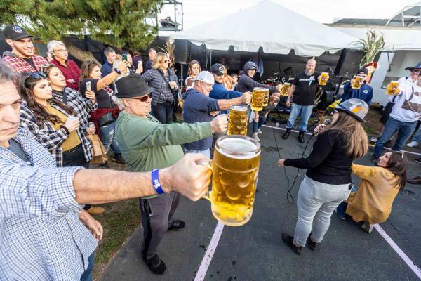 festival go'ers cheersing with beer
