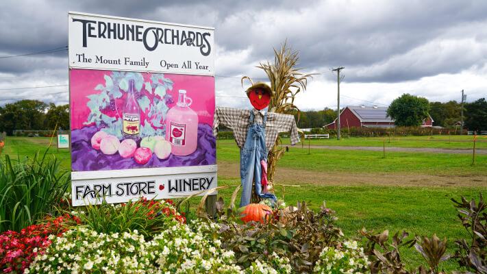 Terhune Orchards