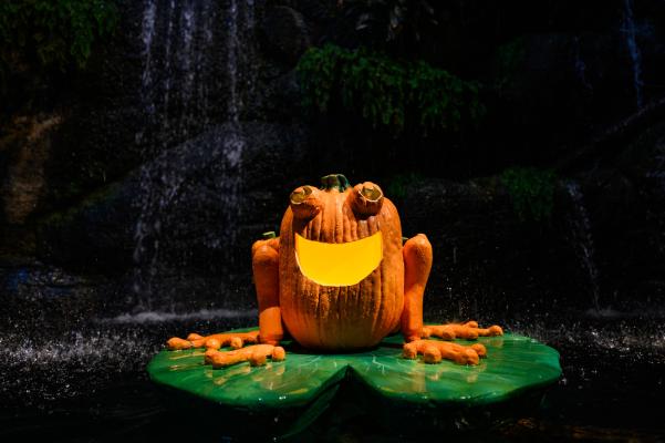 glowing frog display crafted out of faux pumpkins