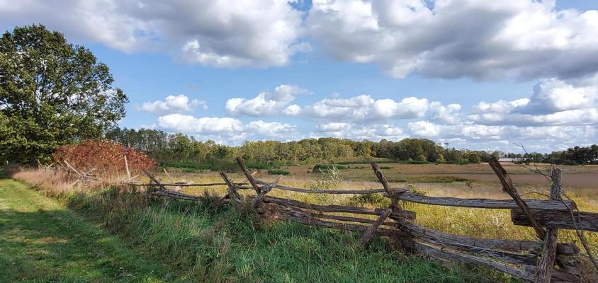 View of Perrine Hill at Monmouth Battlefield