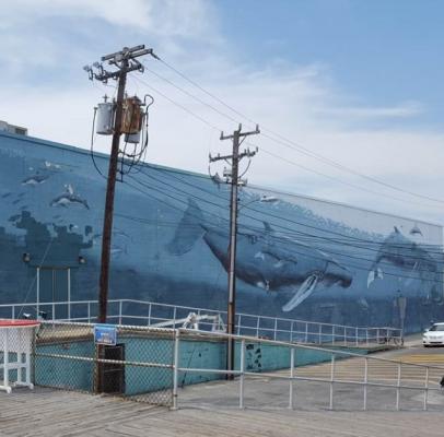 Wyland's Whaling Wall | VisitNJ.org