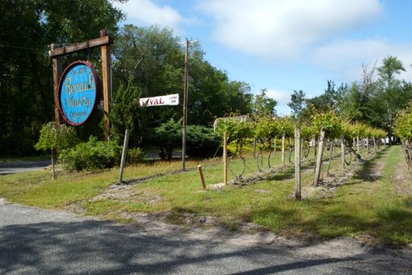 Renault Winery