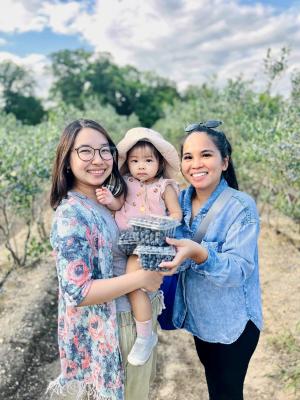 Blueberry Picking at DiMeo Farms in Hammonton, NJ