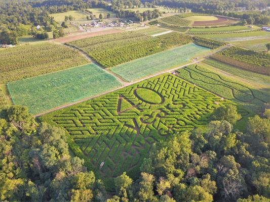 Aerial View of Farm