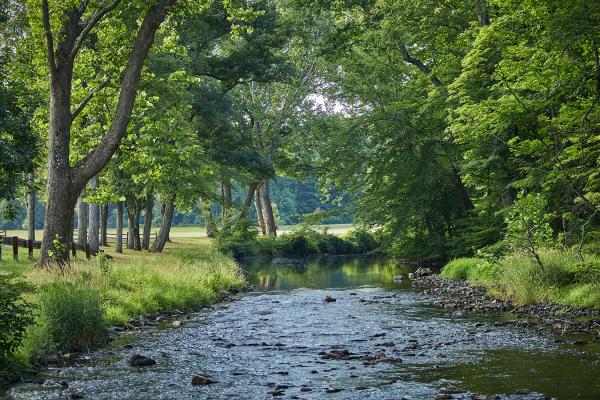 stream running through property with trees along the bank