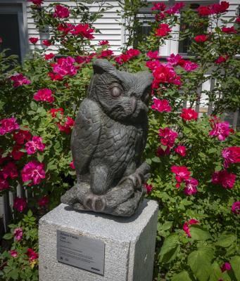 The wise sculpted Owl greets visitors in front of a blooming red rose bush