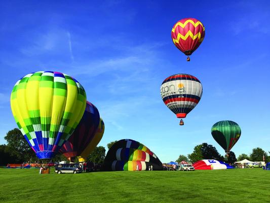 hot air balloons lifting off the ground