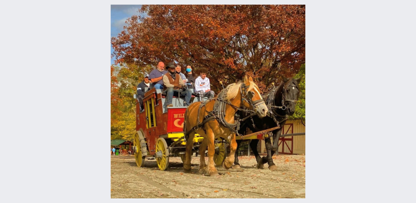 A shot of our stagecoach ride in full action!