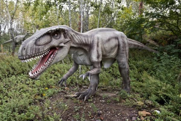 Events - NJ Field Station: Dinosaurs