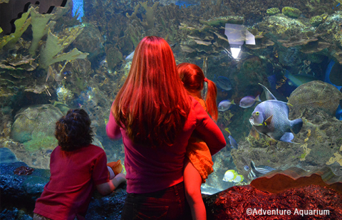 Fishing for Family Fun on the Camden Waterfront