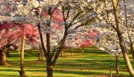 Spring into Action with These New Jersey Events