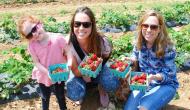 Summer Farm Fun