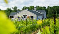 Take a taste bud tantalizing tour of New Jersey’s vineyards & brewpubs.